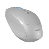 EVEREST SMW-87 USB 2.4Ghz  KABLOSUZ MOUSE GRİ