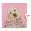 CEM STUDIO PETS PT-7790 18X18cm ÇİZGİLİ KİLİTLİ HATIRA DEFTERİ