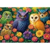 KS GAMES 20095 GUARDIANS OF NATURE 34x48cm YAPBOZ/PUZZLE 500 PARÇA