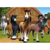 KS GAMES DORU709 DORU 34x48cm YAPBOZ/PUZZLE 50 PARÇA