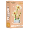 DOSTOYS 103I-6 BLOSSOM KRİSTAL GRADYAN ÇİÇEKLER BLOK OYUNCAK SONG MEILAN