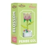 DOSTOYS 103I-7 BLOSSOM KRİSTAL GRADYAN ÇİÇEKLER BLOK OYUNCAK PEMBE GÜL