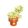 DOSTOYS 113-17 BLOSSOM MİNİ ÇİÇEK BLOK OYUNCAK GRAPTOPETALUM 180 PARÇA 6+