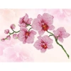 DIAMOND DOTZ DD6.034 ORCHID SPRAY 27x37 cm BONCUK TABLO KİTİ