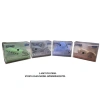 GIPTA K2355 3D ANIMALS RENKLİ SİLGİ - TEKLİ