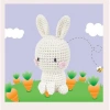 HELLO CRAFTS EASY HC107 CROCHET MİNİ AMIGURUMI ÖRGÜ KİTİ - SEVİMLİ TAVŞAN BINKY (1 SET)