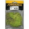 JORDANIA JE00-0501515 YOSUN MAYIS YEŞİLİ 10gr.