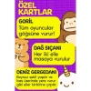 MOLFY ÇABUK REFLEKS KART OYUNU 12+