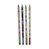 PENSAN 96010 FUN PENCILS DİNAZOR DESENLİ KURŞUN KALEM HB- TEKLİ