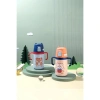 VAGONLIFE ROVCO PİPETLİ ÇELİK MATARA B4011 400 ML
