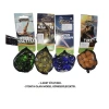 SUNMAN G4087 TREX DİNAZOR 15+1 FİLE MİSKET 3+
