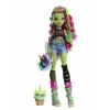MATTEL HRP81 MONSTER HIGH ACAYİP HAVALI ARKADAŞLAR VENUS MCFLYTRAP 30 CM KOLEKSİYON BEBEĞİ 3+