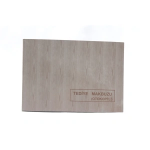 DİLMAN TEDİYE MAKBUZU OTOKOPİLİ