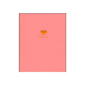 TAROS A4 İÇİ RENKLİ SAYFALI DEFTER