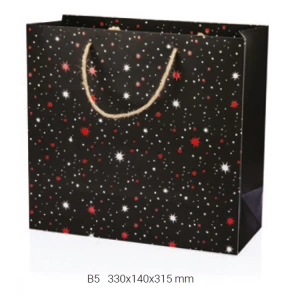 GIPTA B5 FESTIVE HEDİYELİK KARTON ÇANTA BG6672