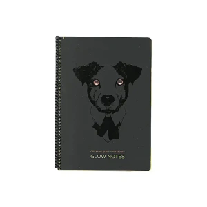 GIPTA GLOW NOTES SPR. KARTON KPK.A4 80YP.KARELİ