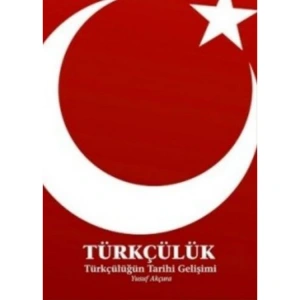 TÜRKÇÜLÜK (TÜRKÇÜLÜĞÜN TARİHİ GELİŞİMİ)