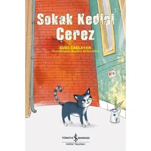 SOKAK KEDİSİ ÇEREZ