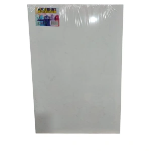 MAGIC ART 50X70 LÜKS TUVAL T5070