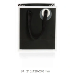 GIPTA B4 PRIME HEDİYELİK KARTON ÇANTA BG18300