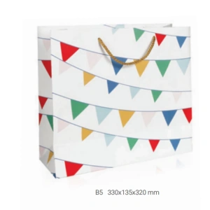 GIPTA B5 JOLLY KÜP HEDİYELİK KARTON ÇANTA BG1681