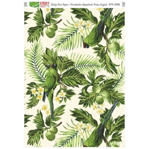 RİCH STK2086 KENDİNDEN YAPIŞKANLI STİCKY PİRİNÇ KAĞIDI