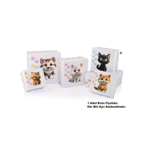 GIPTA FANCY KARE HEDİYE KUTUSU BX2787 C NO:4,5 180x180x95mm - TEKLİ