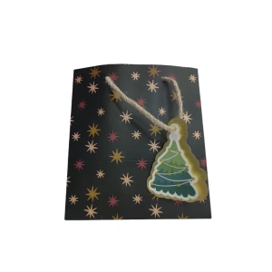 GIPTA B3 LİDOR HEDİYELİK KARTON ÇANTA BG01740