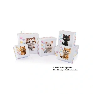 GIPTA FANCY KARE HEDİYE KUTUSU BX2787 I NO:6 250x250x120mm - TEKLİ