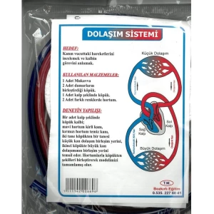 BOZKIRLI  EĞİTİM - DOLAŞIM SİSTEMİ MODELİ