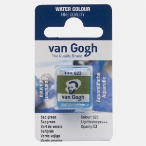 VAN GOGH 20866231 TABLET SULU BOYA YEDEĞİ - SAP GREEN 623