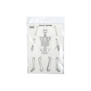 KAR İSKELET SİSTEMİ