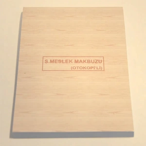 DİLMAN SERBEST MESLEK MAKBUZU OTOKOPİLİ 3N