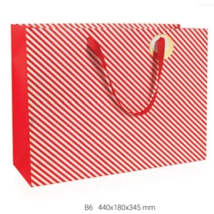 GIPTA B6 PRIME HEDİYELİK KARTON ÇANTA BG1836