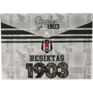 TMN DOS-1903 BEŞİKTAŞ ÇITÇITLI DOSYA 464501