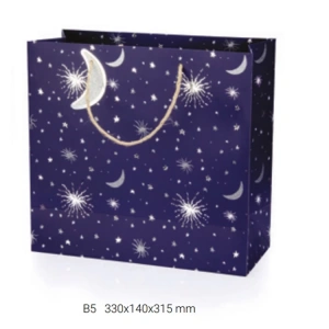 GIPTA B5 COSMIC HEDİYELİK KARTON ÇANTA BG7020