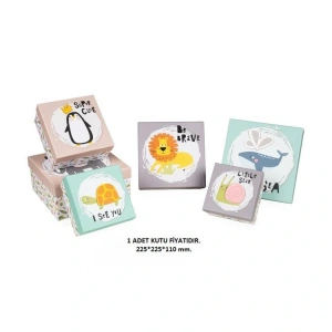 GIPTA BONNY KARE HEDİYE KUTUSU BX1540 E NO:05,5 225x225x110 mm - TEKLİ