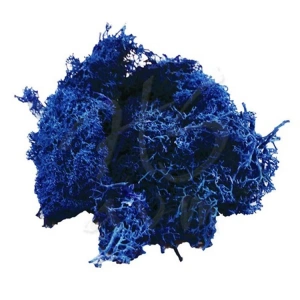 JORDANIA YOSUN LACİVERT