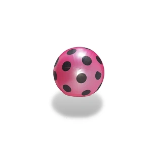 CAN SPORT PLASTİK TOP 3425