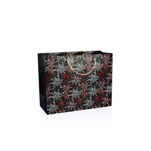 GIPTA B6 FESTIVE HEDİYELİK KARTON ÇANTA BG6658