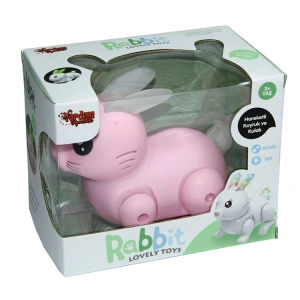 VARDEM LZH-99777-1 IŞIKLI VE MÜZİKLİ TAVŞAN KUTULU