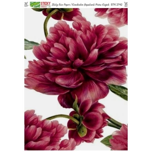 RİCH STK2742 KENDİNDEN YAPIŞKANLI STİCKY PİRİNÇ KAĞIDI