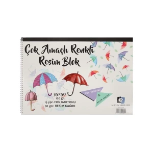 ALEX SCHOELLER ÇOK AMAÇLI BLOK RESİM DEFTERİ 35x50 120gr. ALX-0299