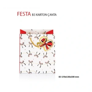 GIPTA B3 FESTA HEDİYELİK KARTON ÇANTA BG2758