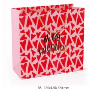GIPTA B5 SİNTA HEDİYELİK KARTON ÇANTA BG0677