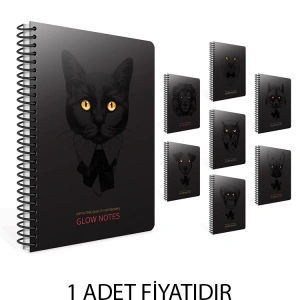 GIPTA GLOW NOTES SPİRALLİ SERT KAPAK 19X26 120YP.ÇİZGİLİ DEFTER
