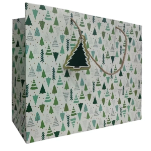 GIPTA B6 CHARM HEDİYELİK KARTON ÇANTA BG0165