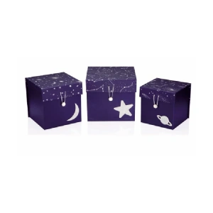 GIPTA COSMIC DİK BOY HEDİYE KUTUSU BX7051 B 175x170x180 mm