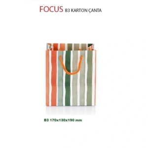 GIPTA B3 FOCUS HEDİYELİK KARTON ÇANTA BG28440