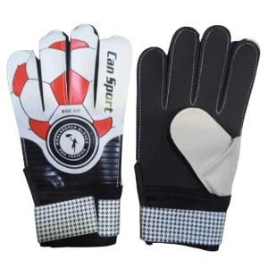 CAN SPORT BSE-117 KALECİ ELDİVENİ NO:10